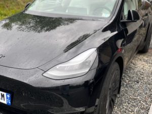 Chamonix Tesla Taxi